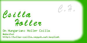 csilla holler business card